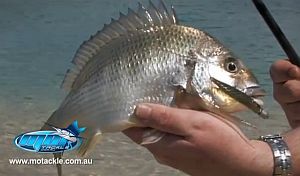 VIDEO: How to – Wade fishing sand flats